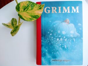 Het boek Grimm als voorbeeld van een goed verhaal. Wat zou het fijn zijn als je website leest als een goed boek.